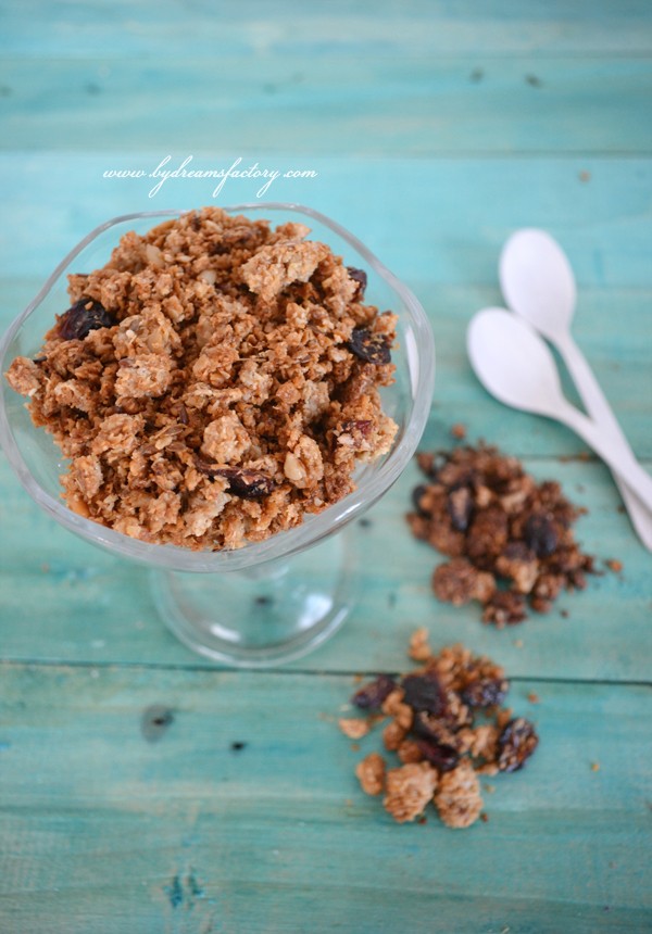 The perfect homemade granola - vanilla for her & chocolate for him - with oats, coconut oil, honey, seeds | www.bydreamsfactory.com