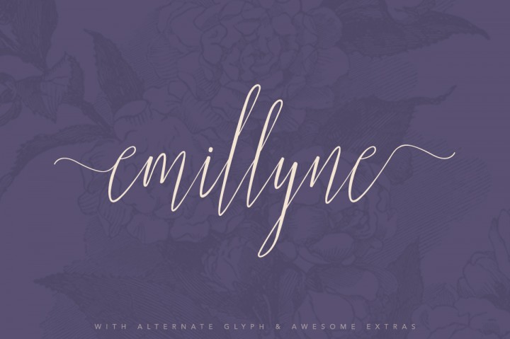 Beautifully handcrafted script fonts with glyphs, swashes and other artistic elements. Ideas on how to use them and how to unlock all their hidden features - Dreams Factory